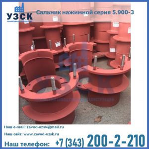 Сальники нажимные серия 5.900-3 в Ангарске